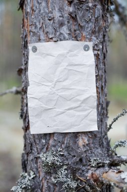 Bir duyuru, bir mektup, bir ormanda bir mesaj