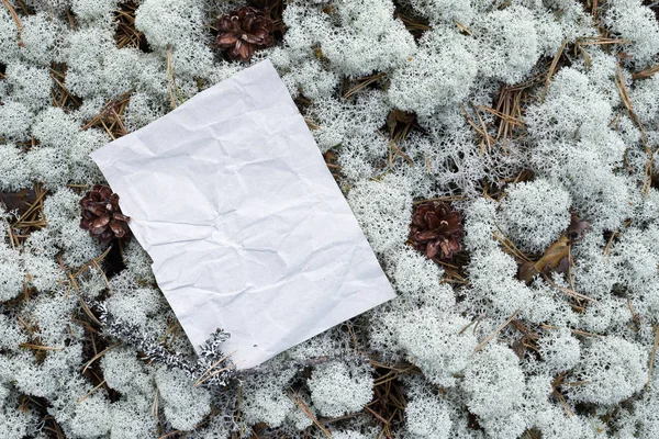 Leerer Rohling, zerknülltes Papier unter den Füßen im Wald — Stockfoto