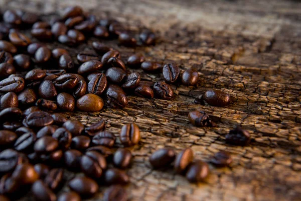 Kávé bab fa háttér — Stock Fotó