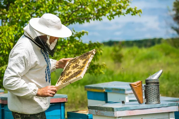 De imker werkt met bijen en bijenkorven op de bijenstal. Bijenhouder op bijenstal. — Stockfoto