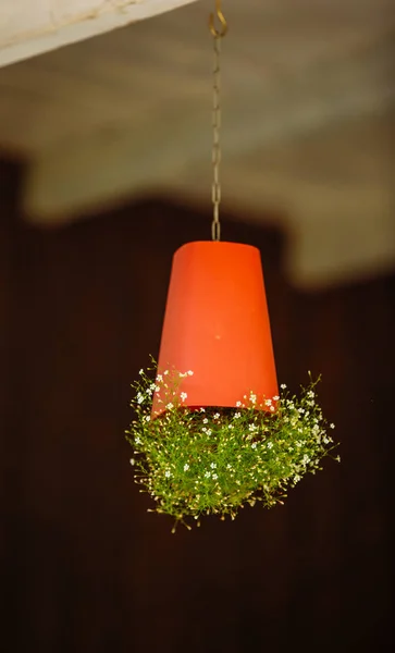 Belle lampe de poche décorative fabriquée à partir de plantes. Fait main. Décoration pour la maison — Photo