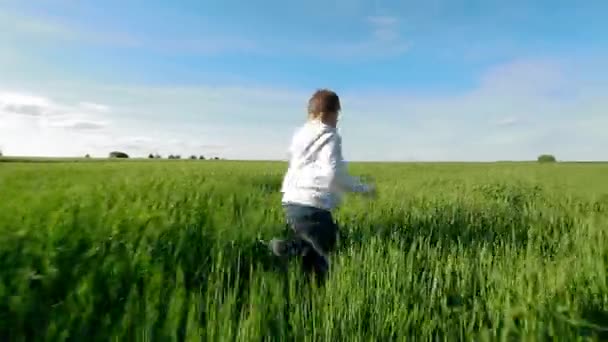 Garçon marchant à travers le champ — Video