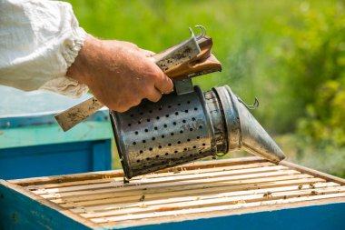 Arıcı altındaki duman yapar. Arılar çerçeve. Arıcı dezenfekte arı sigara içen. Apiculture
