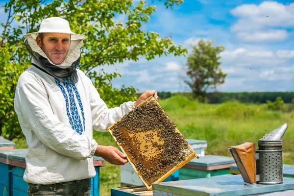 Imker werkt met bijen en bijenkorven op de bijenteelt. Bijen in de honingraten — Stockfoto