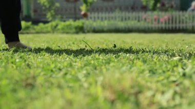 Yaz yeşil çimenlerin üzerinde yalınayak çocuk