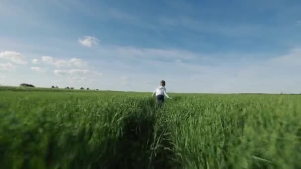 Blije kinderen lopen op het gras — Stockvideo