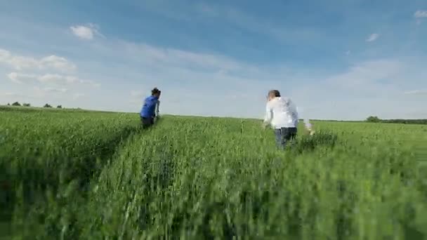 Dos lindo niño jugando en verde campo — Vídeo de stock