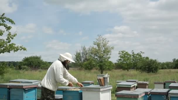 Imker bei der Arbeit in seinem Bienenhaus — Stockvideo