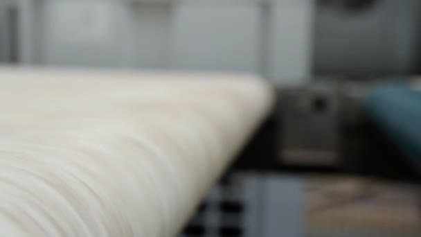 Výrobní linky v továrně na zpracování dřeva — Stock video