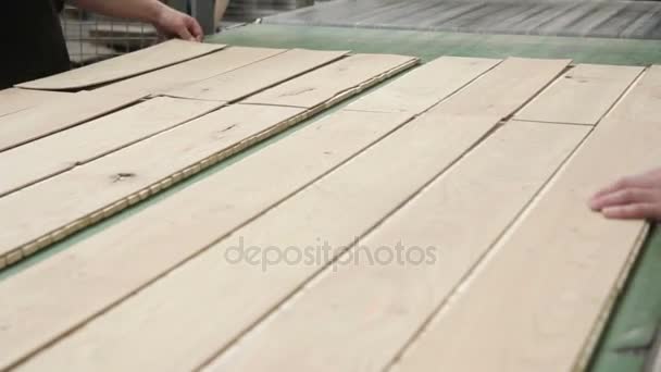 Produção de floorboard na fábrica — Vídeo de Stock