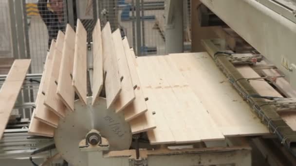 Fábrica de revestimento de madeira — Vídeo de Stock