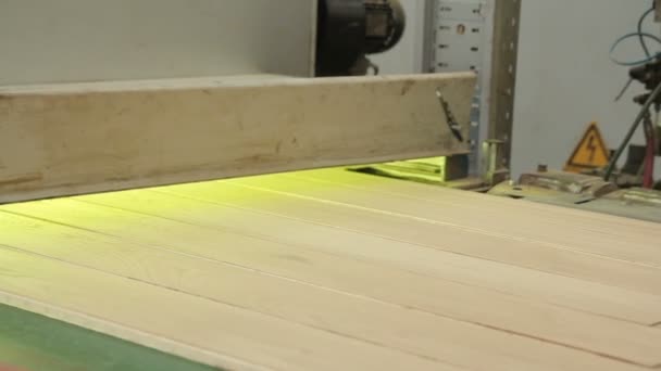 实木复合地板生产。工业厂. — 图库视频影像