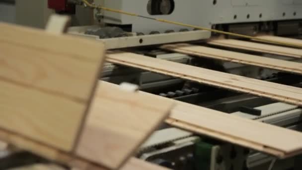 实木复合地板生产车间 — 图库视频影像