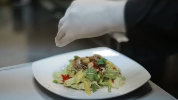 Frisse salade Plate met garnalen — Stockvideo