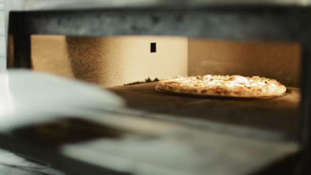 Pizza bakken in de oven — Stockvideo