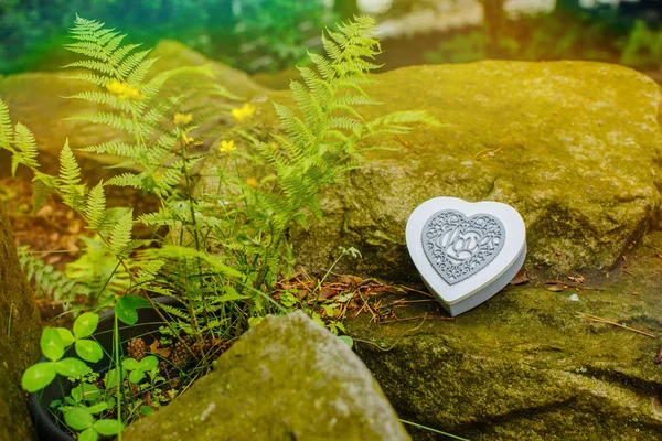 A box in the form of a heart. Old stones in the fern. Wood products. — Stock Photo, Image