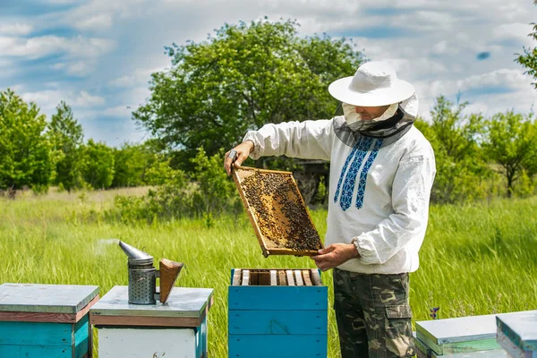 养蜂人在养蜂场与蜜蜂和蜂窝一起工作。蜂窝的框架 — 图库照片