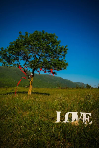 A lonely tree on the background of mountains and blue sky. Sunny day. Valentine's Day. Love — Stock Photo, Image