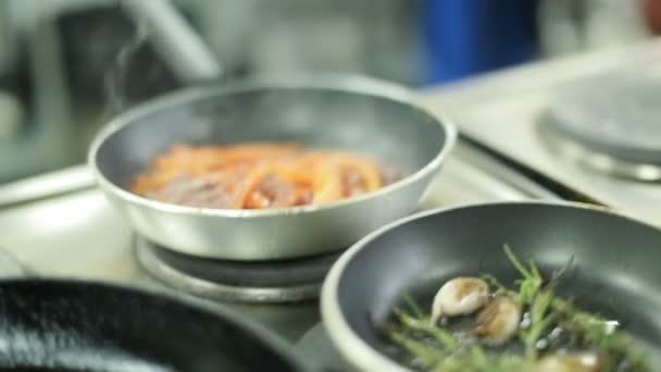 Cocina Profesional, Preparación de la Cena — Vídeo de stock