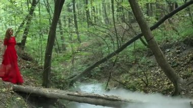 Kadın bir Misty ormanda