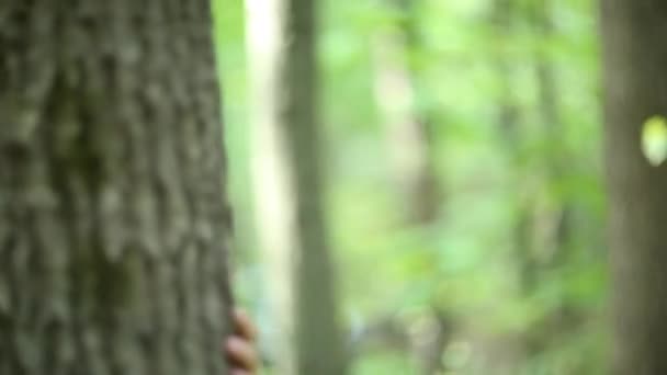 Mujer caminando en un bosque misterioso — Vídeos de Stock