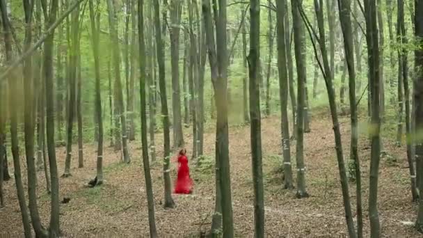 Kvinnan promenader i mystisk skog — Stockvideo