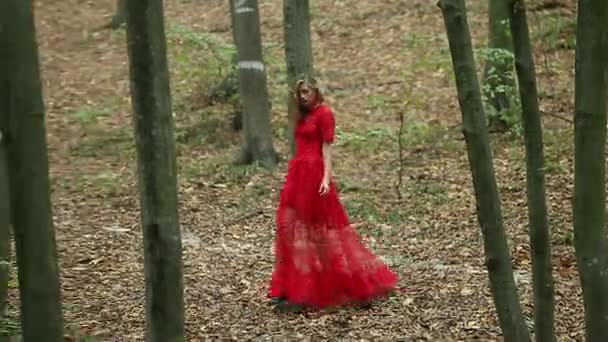 Mujer joven camina en el bosque — Vídeo de stock