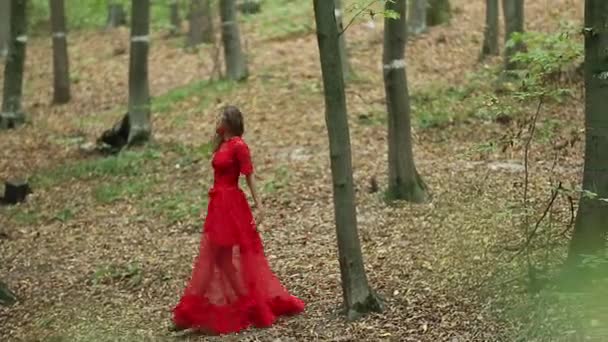 Vacker flicka vandrar i skogen — Stockvideo