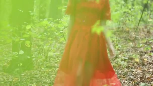 Mulher bonita andando através da floresta verde — Vídeo de Stock