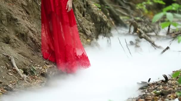 Таинственный портрет девушки в тумане — стоковое видео