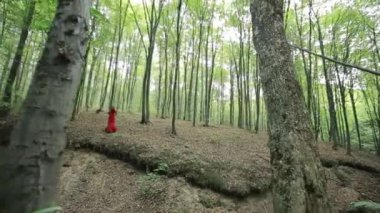 Romantik şık kız ormanda