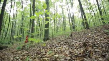 Çekip kadın ormanda tek başına