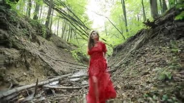 Muhteşem Bayan gizemli bir sisli orman