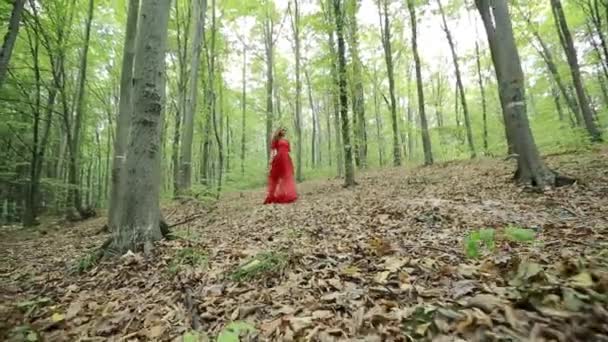 Pretty Woman explore une belle forêt 