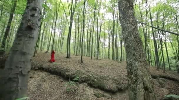 Romantisches stilvolles Mädchen im Wald — Stockvideo