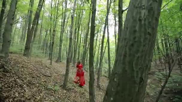 Unga kvinnan promenader i skogen — Stockvideo