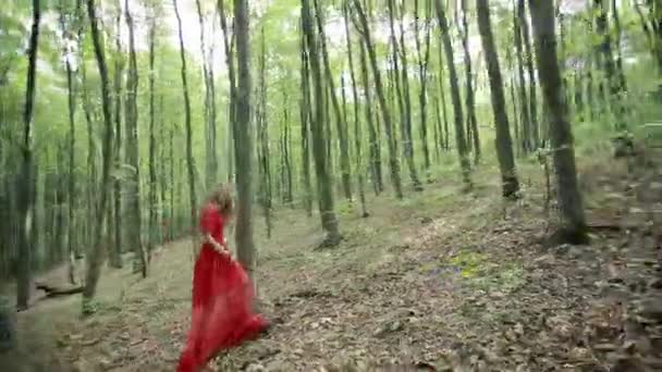 Romantic Stylish Girl In The Forest — Stock Video