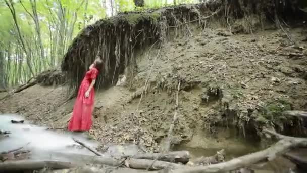 Giovane donna tra le radici degli alberi — Video Stock