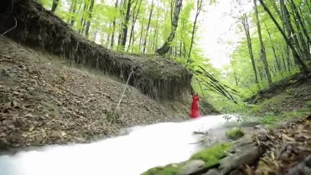 Mooie nimf In het bos — Stockvideo