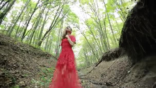 Menina misteriosa andando na floresta — Vídeo de Stock