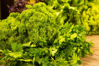 Ahşap arka plan üzerinde taze yeşil maydanoz. Baharat mutfak için.