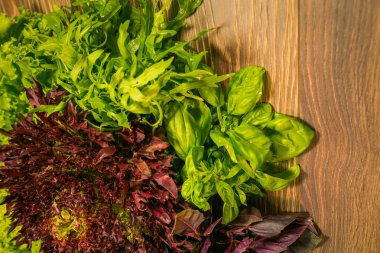 Marul ve fesleğen yaprakları ahşap arka plan üzerinde. Baharat mutfak için.