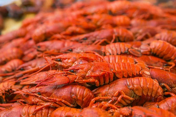 Kankers. Gekookte rode langoesten. Langoesten klaar om te eten. Bier snack. Rivierkreeft tot bier. — Stockfoto