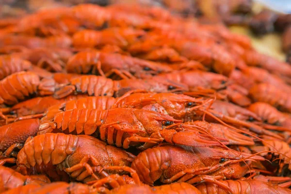 Haşlanmış büyük kerevit. Kerevit bira için. Louisiana kerevides kaynatın.