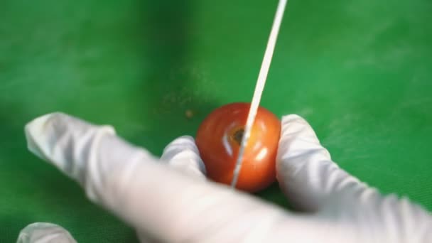 Chef Profissional Uma Cozinha Comercial Corta Tomate — Vídeo de Stock