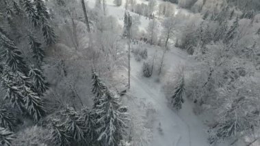 Kış Alp Kayak Merkezi. Orman ve kayakçılar bir teleferik pov üzerinde kar. Havadan görünümü