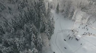 Orman ve kayakçılar bir teleferik pov üzerinde kar. Havadan görünümü. Kış Alp Kayak Merkezi.