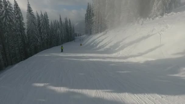 Гірськолижники Шосе Серед Білих Засніжених Сосен Зимовий Гірськолижний Комплекс Вид — стокове відео