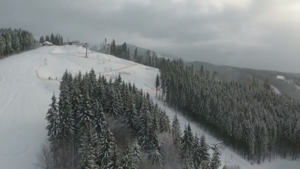 Skifahrer und Snowboarder fahren in einem Skigebiet die Piste hinunter. Winterwald. Luftbild