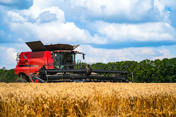 Rote Getreideernte an einem sonnigen Tag. Gelbes Feld mit Getreide. Die Landtechnik arbeitet im Feld. Nahaufnahme. — Stockfoto